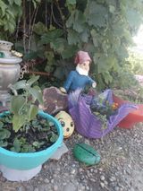 Гном из пластиковых бутылок Шейкина Наталья 4кл.